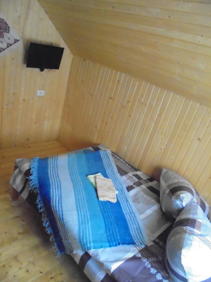 Vila Lisovychok Vorochta Exteriér fotografie