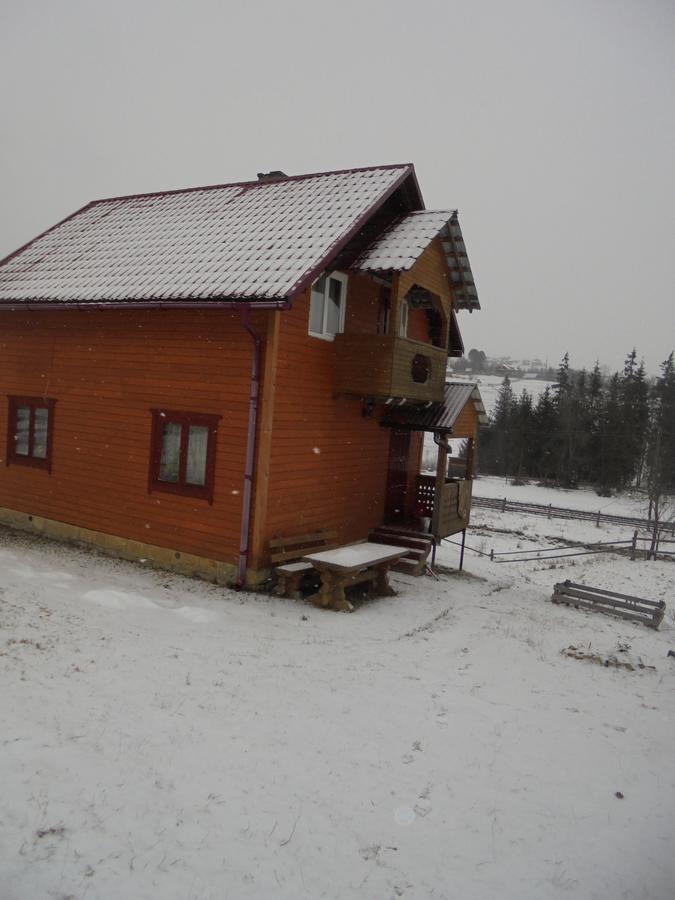 Vila Lisovychok Vorochta Exteriér fotografie