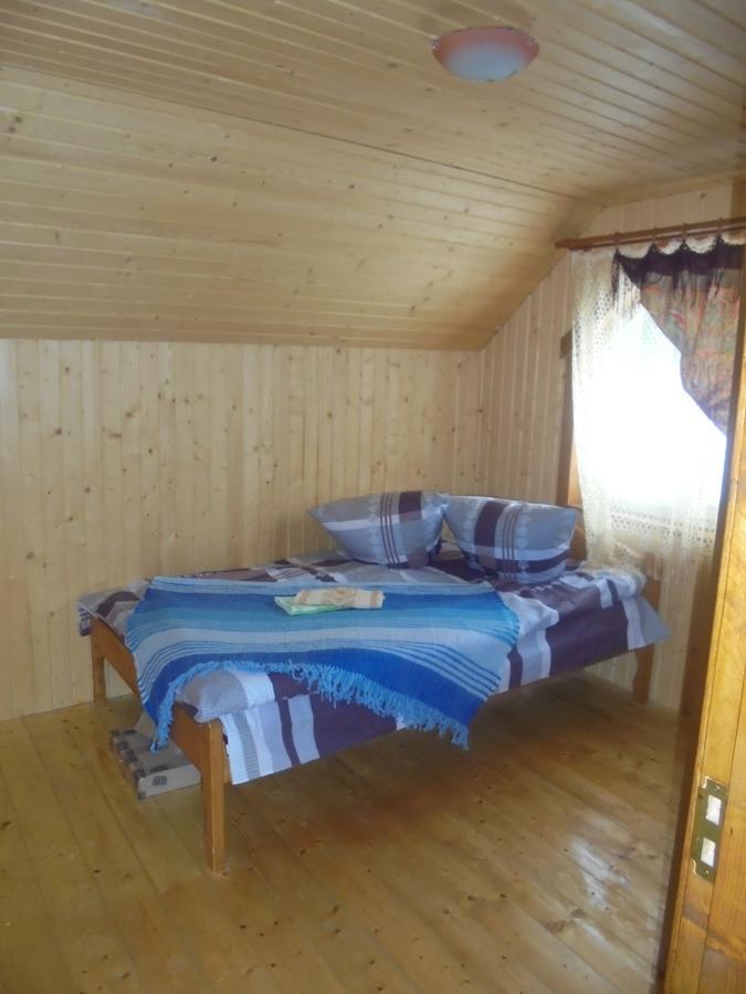 Vila Lisovychok Vorochta Exteriér fotografie