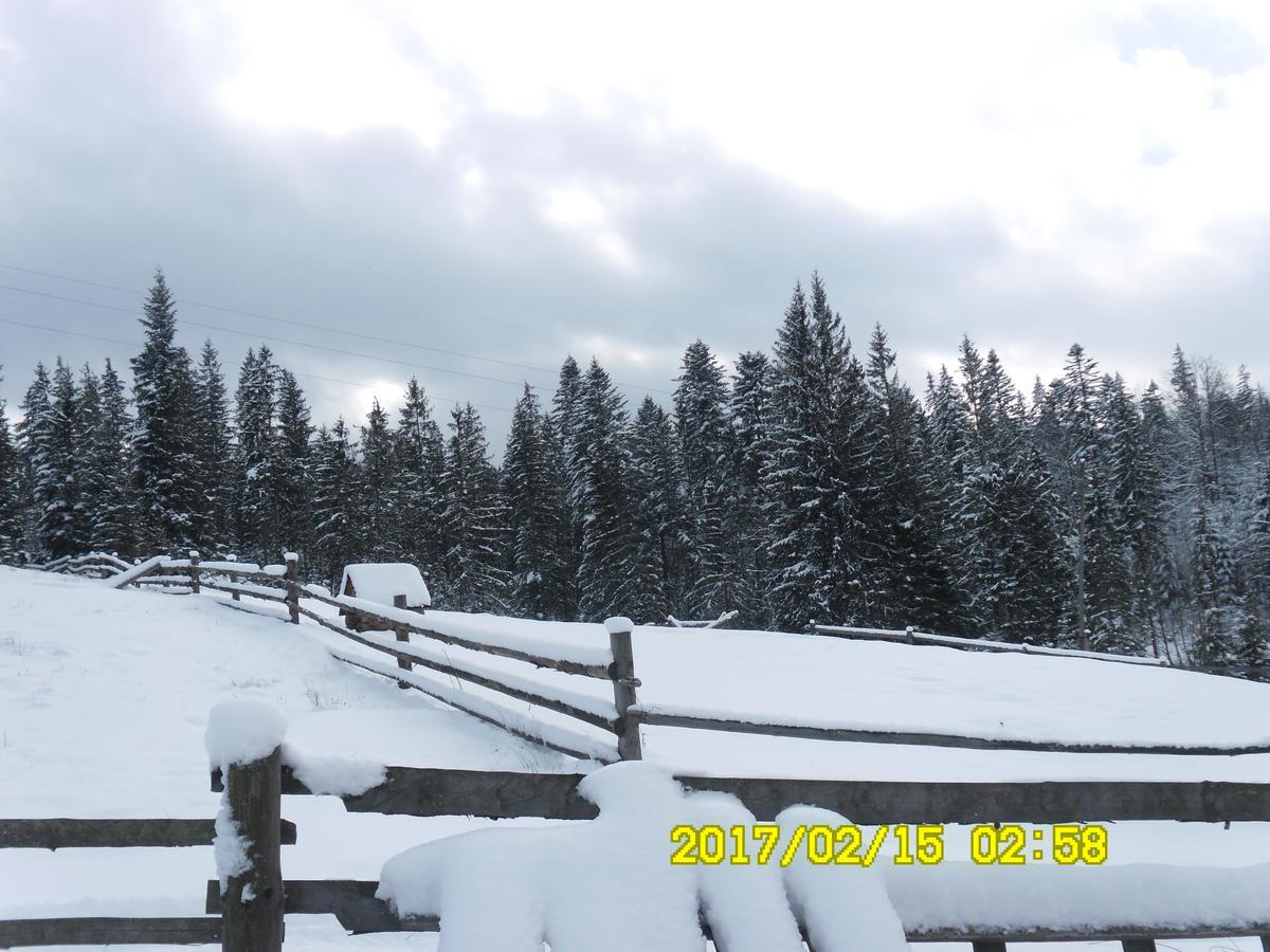 Vila Lisovychok Vorochta Exteriér fotografie