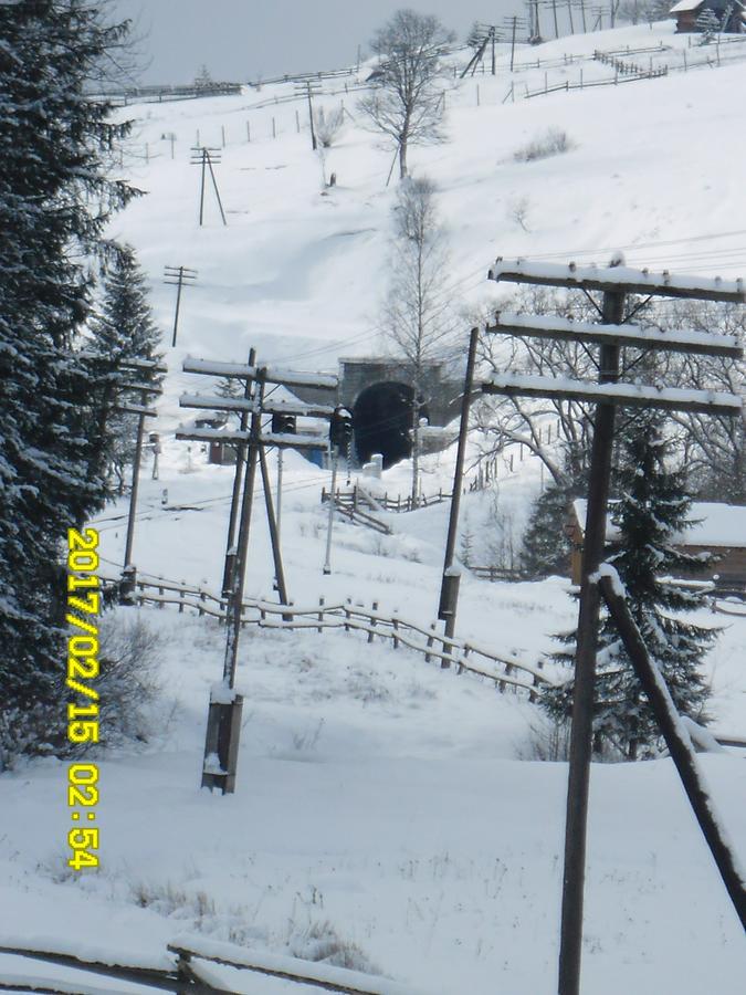 Vila Lisovychok Vorochta Exteriér fotografie