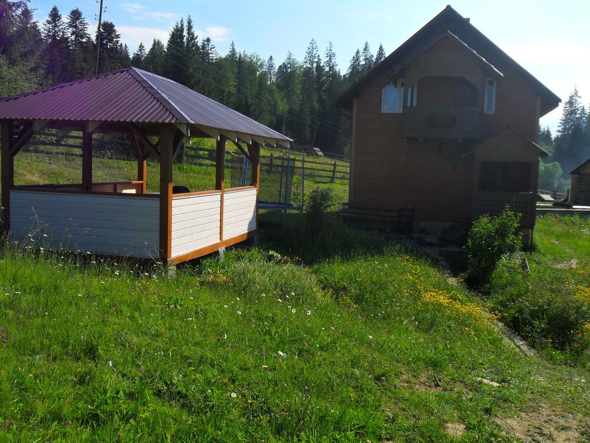 Vila Lisovychok Vorochta Exteriér fotografie